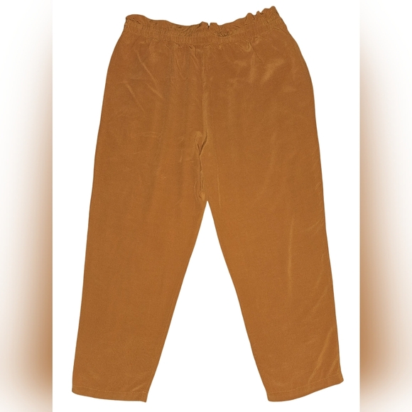 Eileen Fisher Rust Crepe Tencel Pants Ankle Drawstring Comfort Sz M - Picture 6 of 15